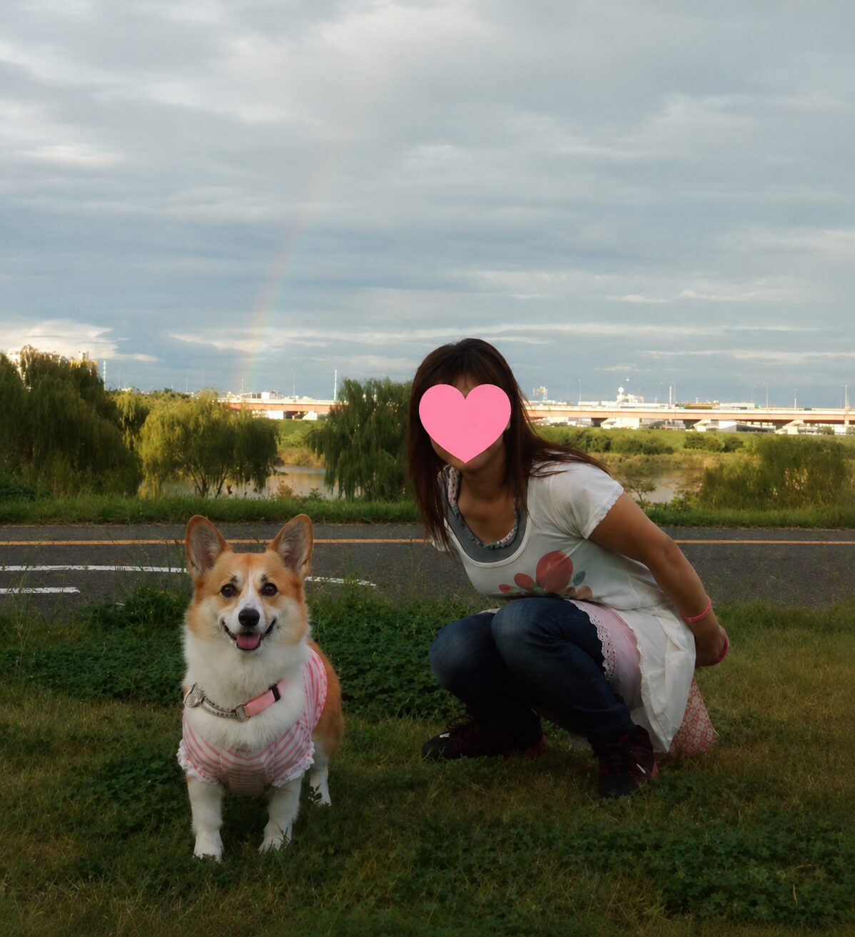 めるる