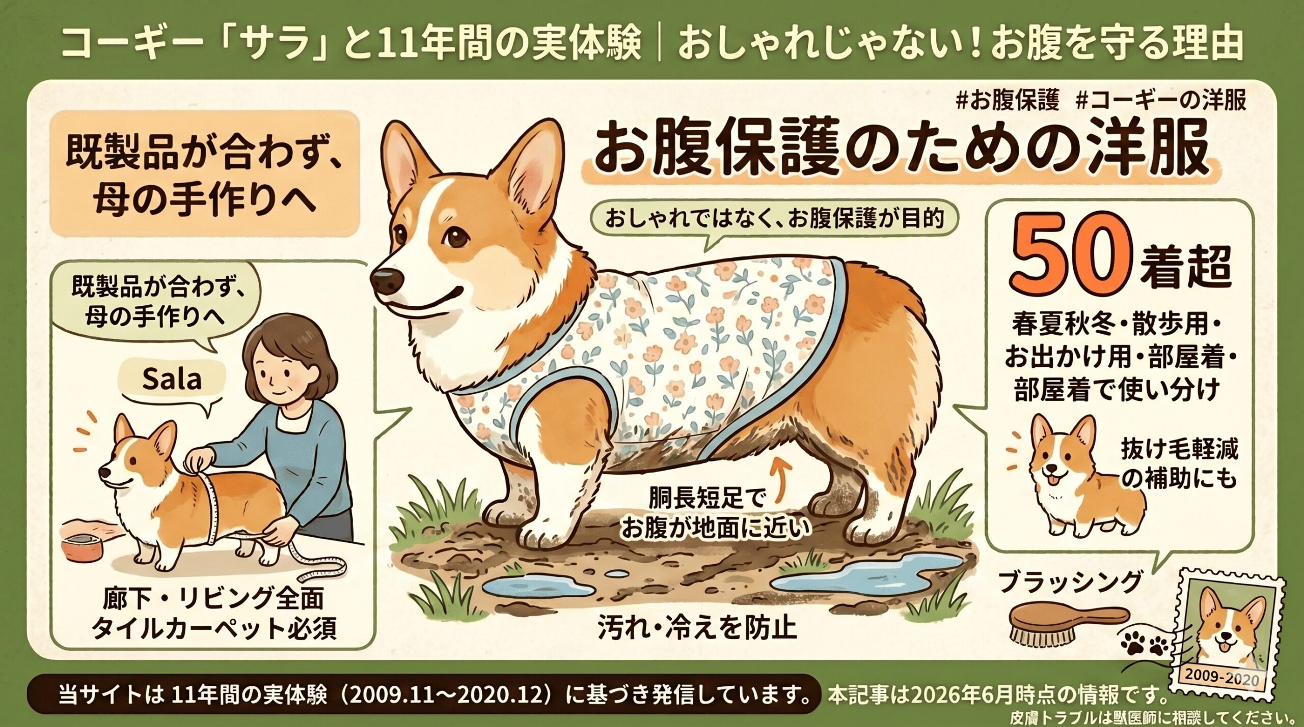 母の手作り50着超｜サラに洋服を着せた本当の理由（お腹保護目的）