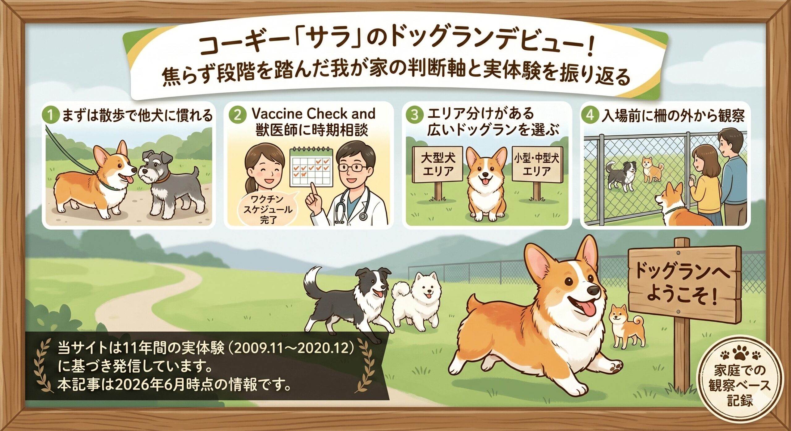 ドッグランデビュー｜社会化が完了してから連れて行った我が家の判断
