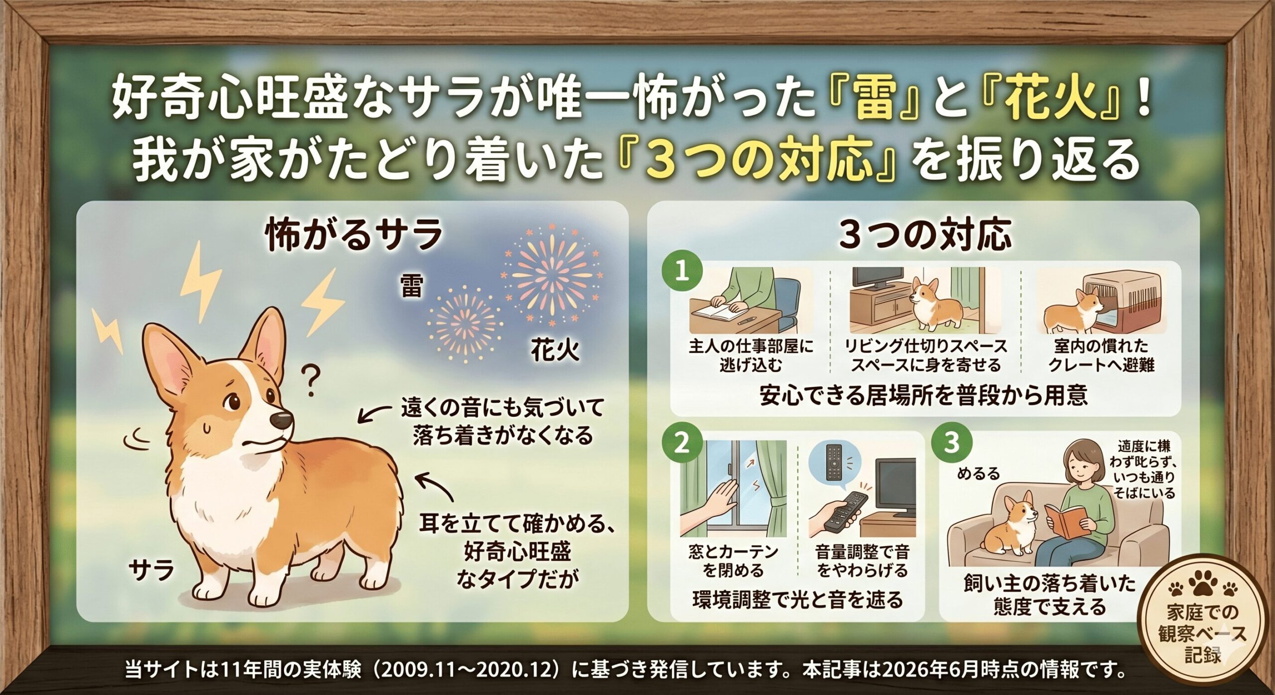 雷と花火が苦手だったサラ｜怖がる日に我が家がした3つの対応