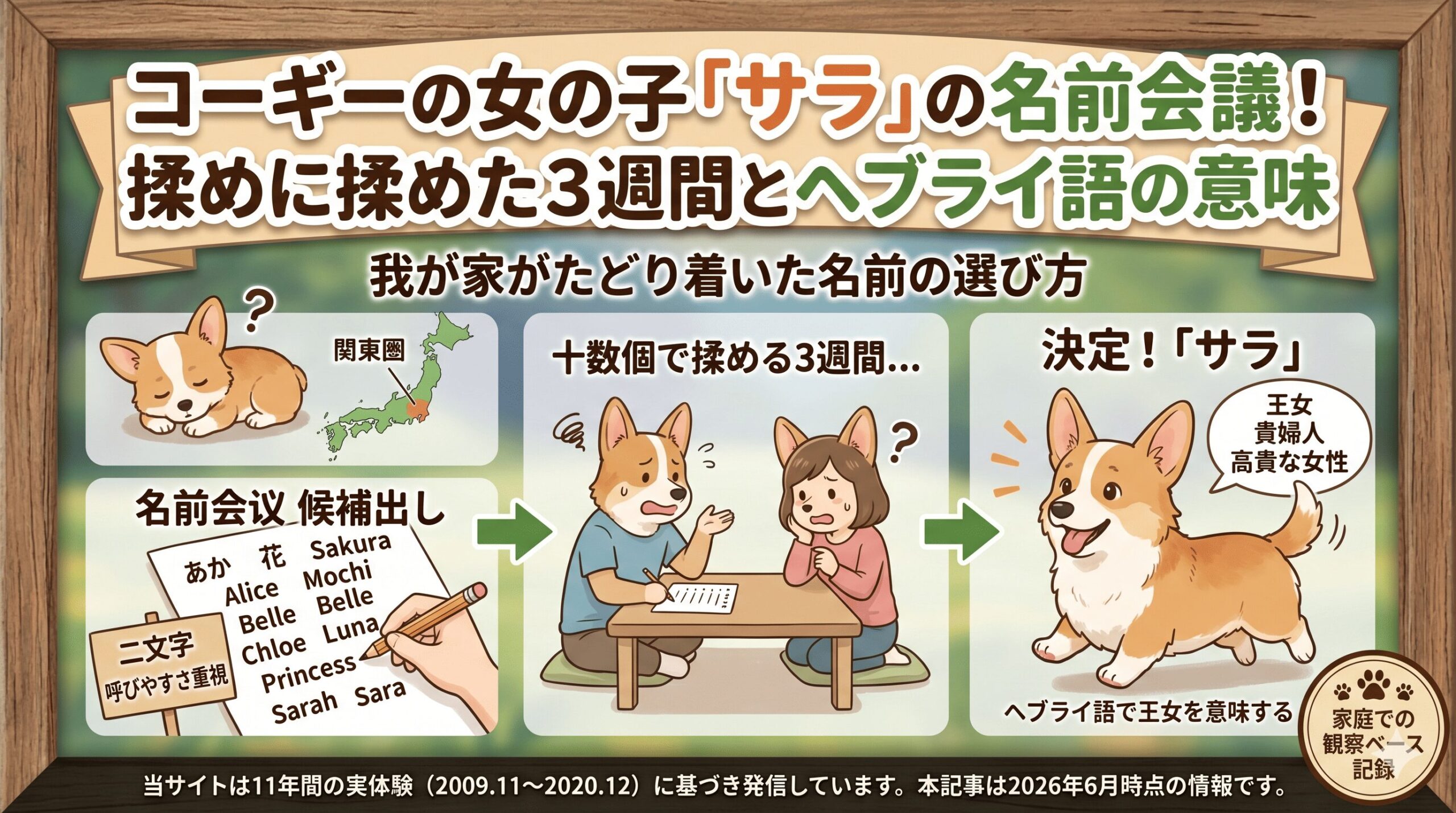夫婦で十数個揉めた｜我が家のサラの名前が決まるまでの3週間