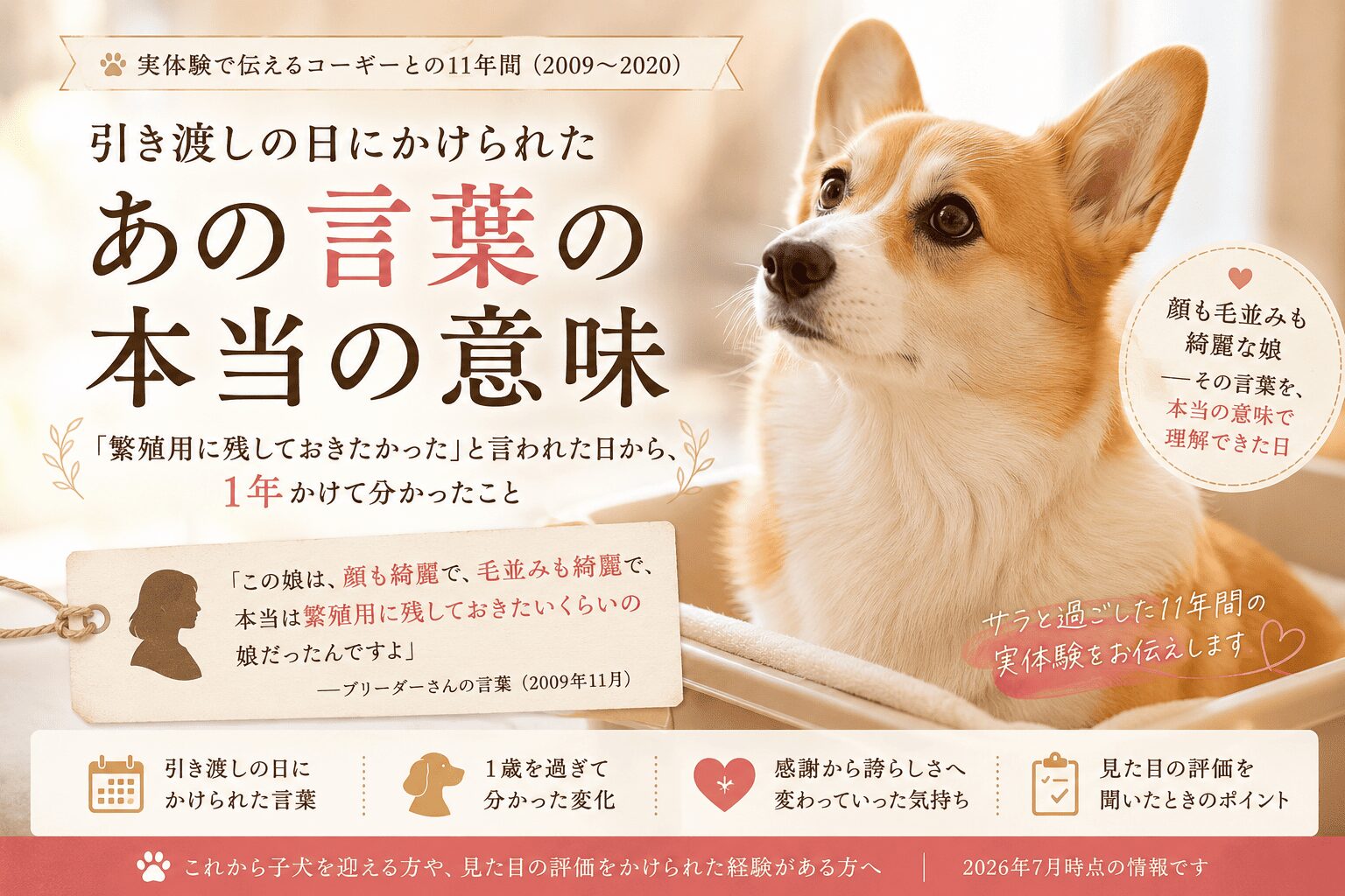 繁殖用候補だったサラ｜引き渡しの日に知らされた、顔と毛並みの良さ