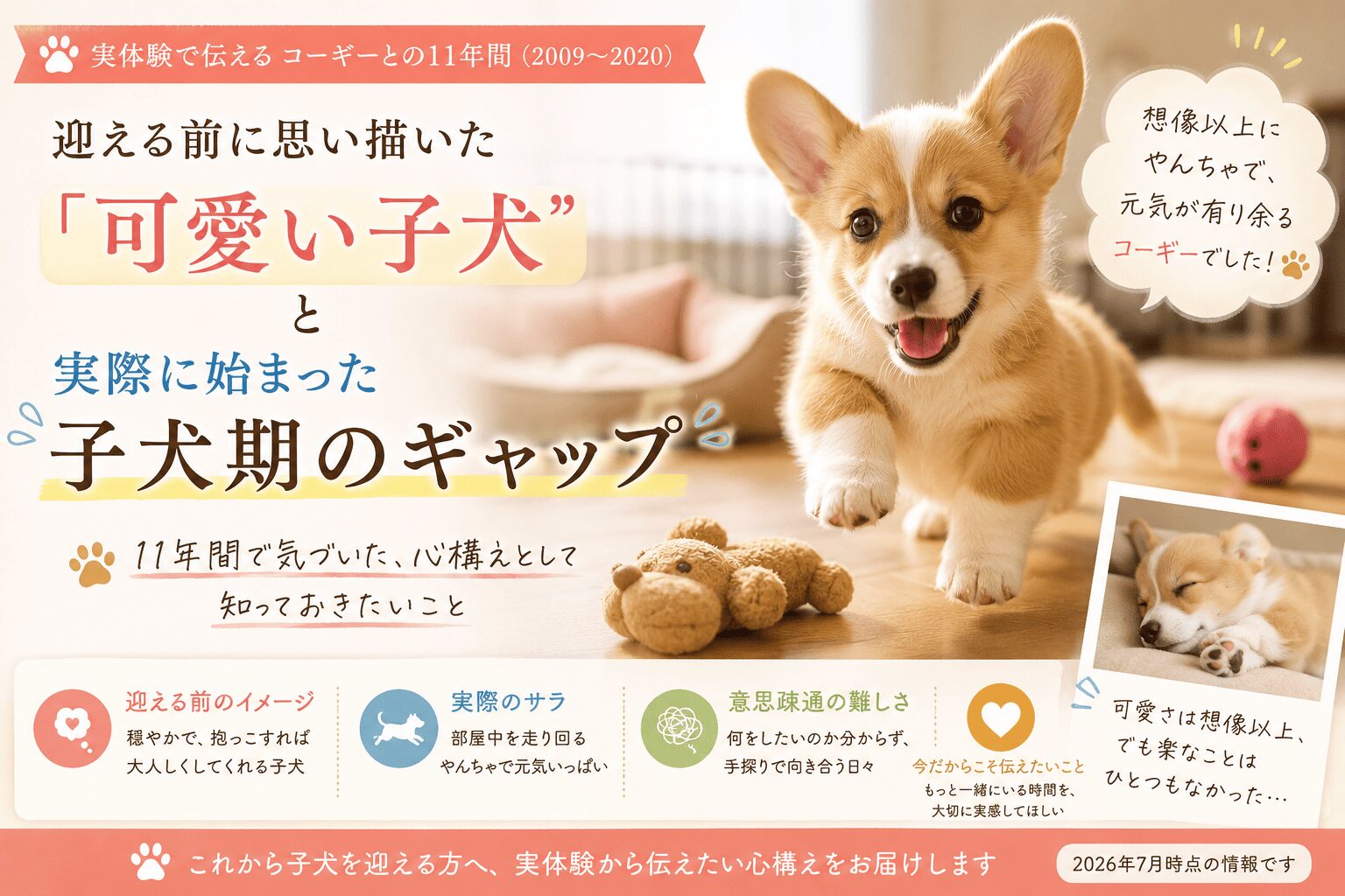 「可愛いだけ」ではなかった子犬期｜想像と違った、やんちゃで元気すぎるサラ